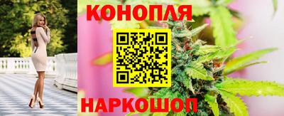 mdpv Лесосибирск